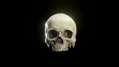 Closeup of a Human Skull. 3D cinematic. Stock Footage 239062720