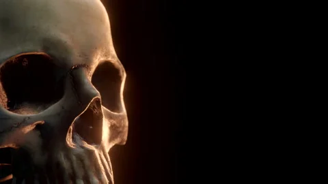 Closeup of a Human Skull. 3D cinematic. Stock Footage 239062741