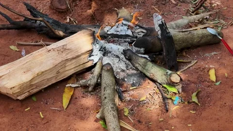 Closeup of Humble Campfire Burning on Red Dirt Soil Ground in Rustic Outdoor 库存影片 348956979
