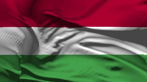 Closeup Hungary Flag Wave Loop waving in wind Realistic Hungary Flag backgro Stock Footage 321809006