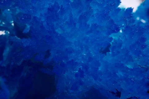 Closeup of ice on glass in winter with pattern in form of leaves 写真素材