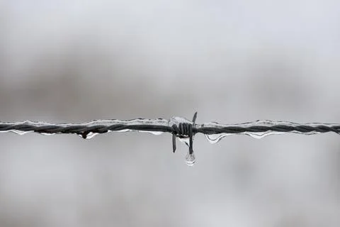 A closeup of iced barbed wire Stock Photos