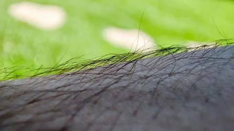 Closeup image capturing the intricacies of human skin texture in macro. Stock Photos