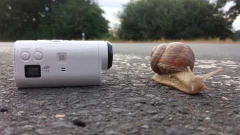 A closeup image capturing a snail positioned next to a camera on a roadway Stock Photos