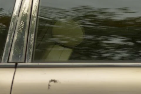 A closeup image of a car window reflecting the surrounding trees in it Foto stock