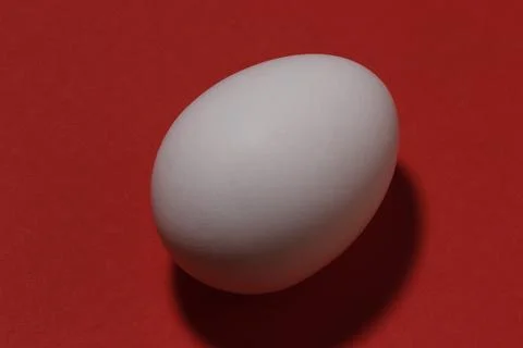Closeup image of a chicken white egg on a red background top view. Stock Photos