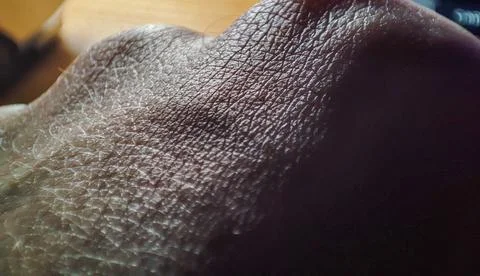 Closeup image displaying the intricate texture pattern of human skin. Stock Photos