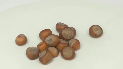 A CloseUp Image Featuring Hazelnuts Set Against a Clean White Background for Stockbeeldmateriaal 286713991