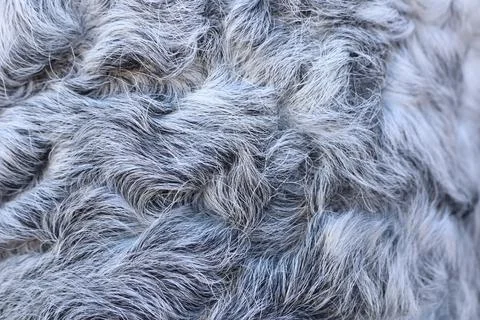 A CloseUp Image Featuring a Soft Textured Gray Fur Pattern with Rich Detail and Stockfoto's