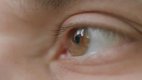 CloseUp Image of a Human Eye Featuring a Brown Iris and Its Beautiful Reflection Stock Photos