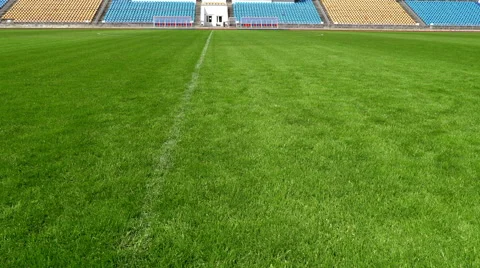 Closeup image of natural green grass soccer field Stock-Footage 64752983