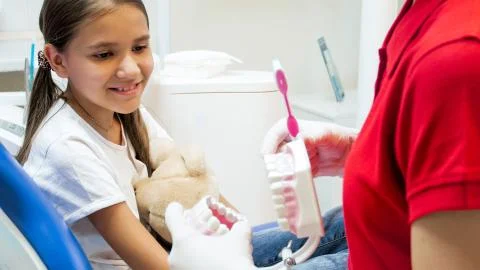 Closeup image of pediatric dentist explaining importance of properly cleaning Stock Photos