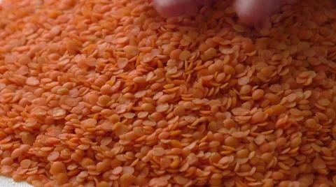Closeup image of red lentil Stock Footage 50780772