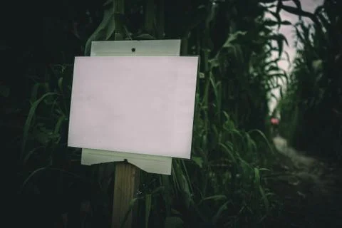 Closeup of information table in a spooky summer corn maze run Stock Photos