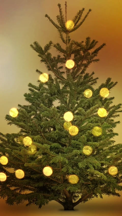 Closeup of an isolated christmas tree with bokeh light decoration Stock Footage 284342272