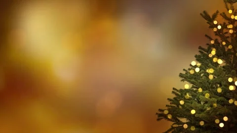Closeup of an isolated christmas tree border with bokeh lights Stock Footage 284342410