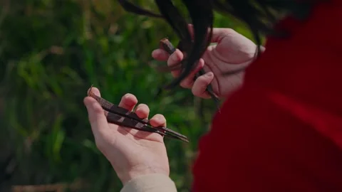 Closeup Jesus hands holding rusty crucifixion nails Stock Footage 332055253