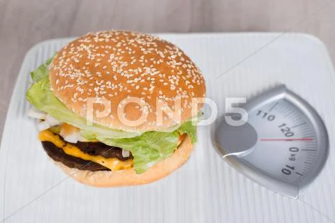 Closeup of junk food hamburger on weighing scale Stock Photos