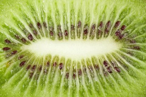 Closeup of kiwi Stock Photos