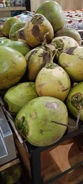 Closeup of large coconut fruit Stock Photos
