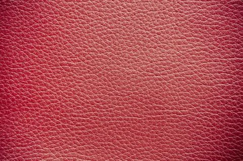 Closeup of leather texture. Фото