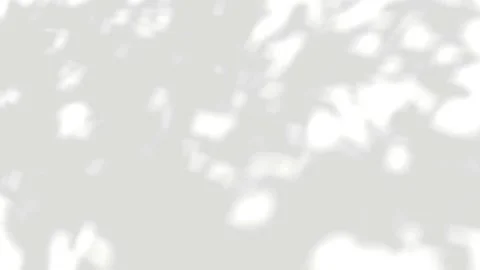 Closeup leaves gray blurred shadow motion on white backgrounds video render.. Stock Footage 336008189