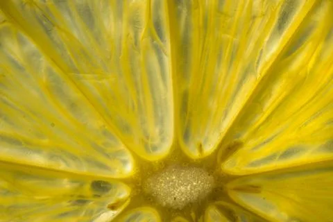 Closeup lemon slice. Transparent texture of lemon Stock Photos