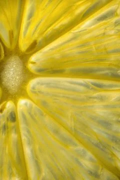 Closeup lemon slice. Transparent texture of lemon Stock Photos