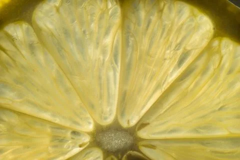 Closeup lemon slice. Transparent texture of lemon Stock Photos