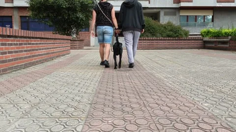 CloseUp of Lesbian Couple's Legs Walking Away with Dog Stock Footage 274675357