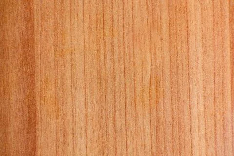 A closeup of light beech, vertical stripe pattern on natural wood cut. Backgr Stock Photos