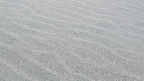 Closeup Light Gray Sand Texture Stock Footage 301430218
