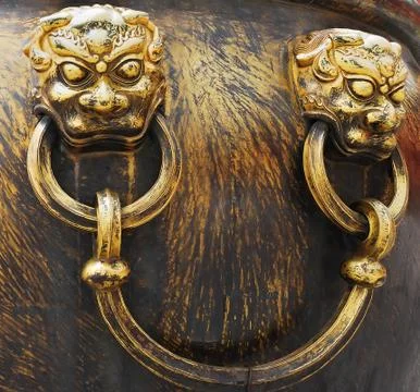 Closeup lions Stock-Fotos
