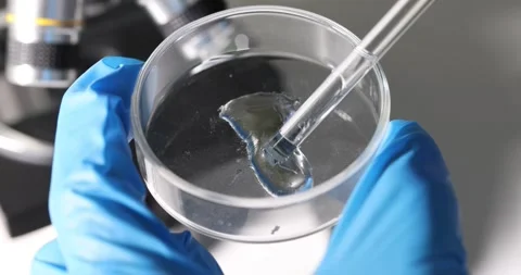 Closeup of liquid in Petri dish during laboratory experiment Stock Footage 283354763