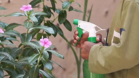 Closeup Of Little Boy Hand Sprinkling Water In Garden Stock Footage 285437262