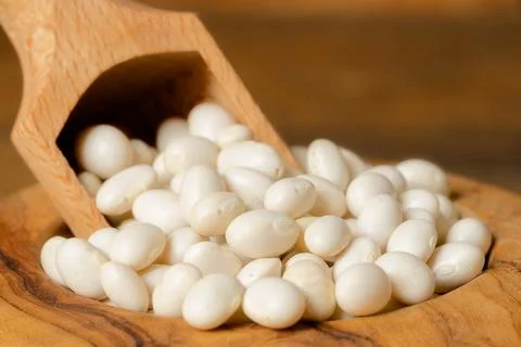 Closeup of little white dry beans in a bowl with a scoop. Dried white beans i Stock Photos