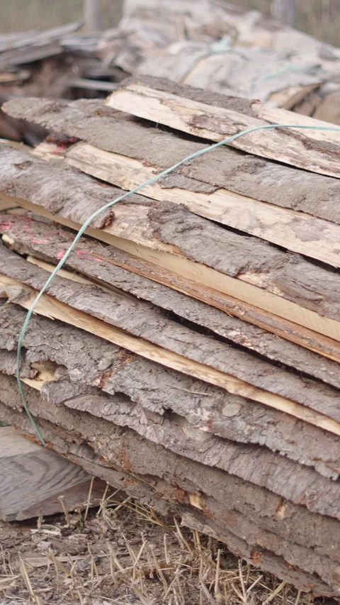 Closeup of logs held together with ropes Video stock 273170131