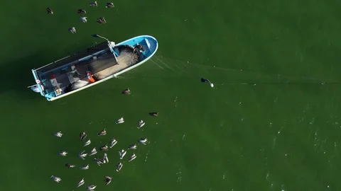 Closeup looking down onto fisherman pulling in nets in boat. Stock Footage 104689821