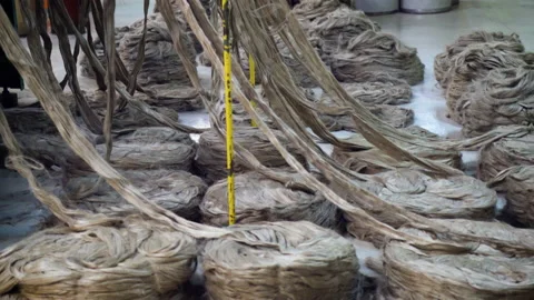 Closeup of a loom in process. Weaving production. Stock Footage 136706938