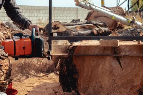 Closeup of lumberjack cutting tree trunk with giant chainsaw to make wooden p Stock Photos