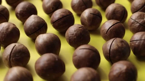 Closeup of macadamia nut on table Video stock 277517009