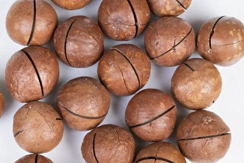 Closeup of macadamia nuts with rustic presentation. Closeup photograph of macada Stock Photos