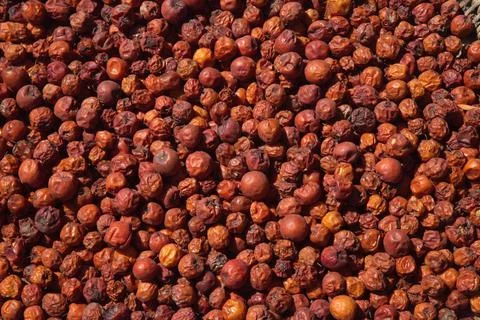 Closeup macro background of bright small red fruits filling screen Laos Stock Photos