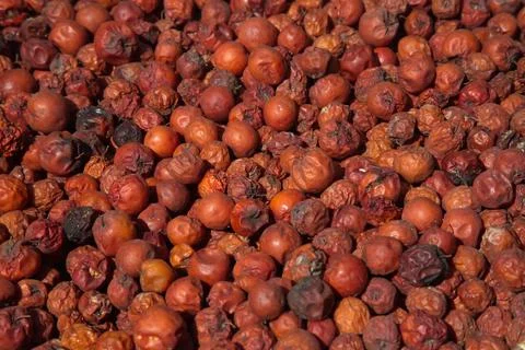 Closeup macro background of small red fruits filling screen Laos Stock Photos
