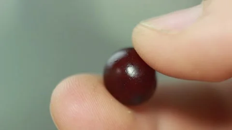 Closeup Macro cranberry been pressed in fingers 스톡 동영상 142930350
