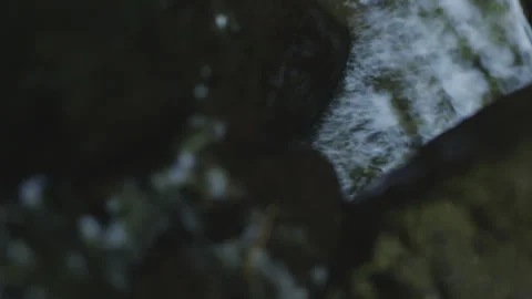 Closeup macro of creek stream flowing through rocks Stock-Footage 234765840