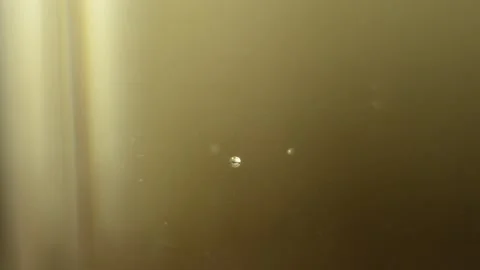 Closeup macro drink water bubbles are going up in the cup 스톡 동영상 138222267