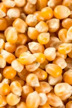 Closeup macro flat lay above raw popcorn for advertising Foto stock