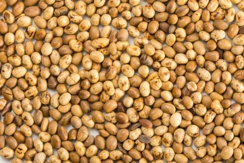 Closeup macro flat lay above soya beans background Stock Photos