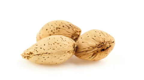 Closeup macro of fresh almonds in shells sliding in and out of view on white Stock Footage 47431633